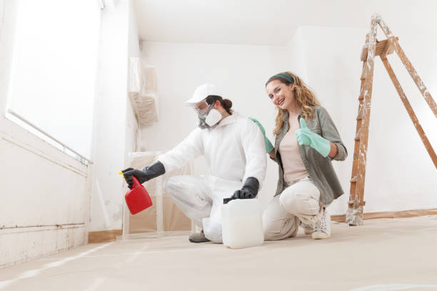 Best Commercial Mold Inspection  in Manhattan Beach, CA